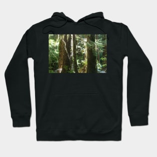 Lost in the Wild Hoodie